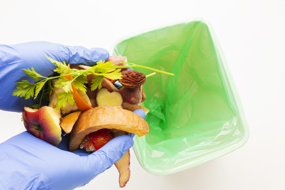 leftover-wasted-food-person-wearing-gloves.jpg