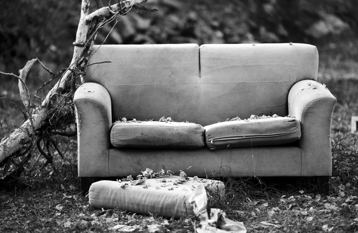 old-sofa-with-leaves-1.jpg